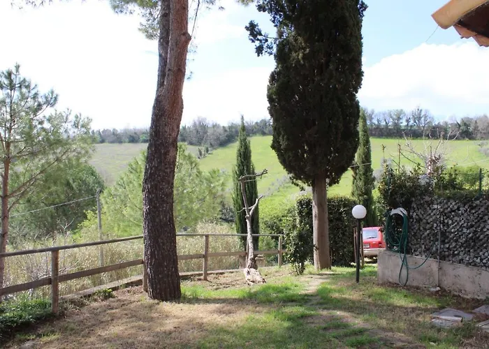 Il Gelso Nero II