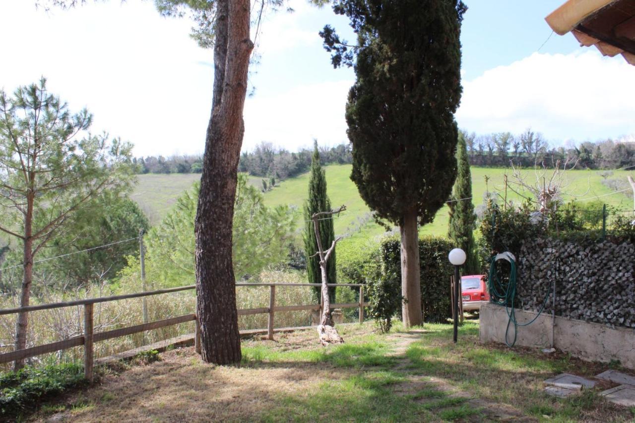 Apartment Il Gelso Nero Ii *