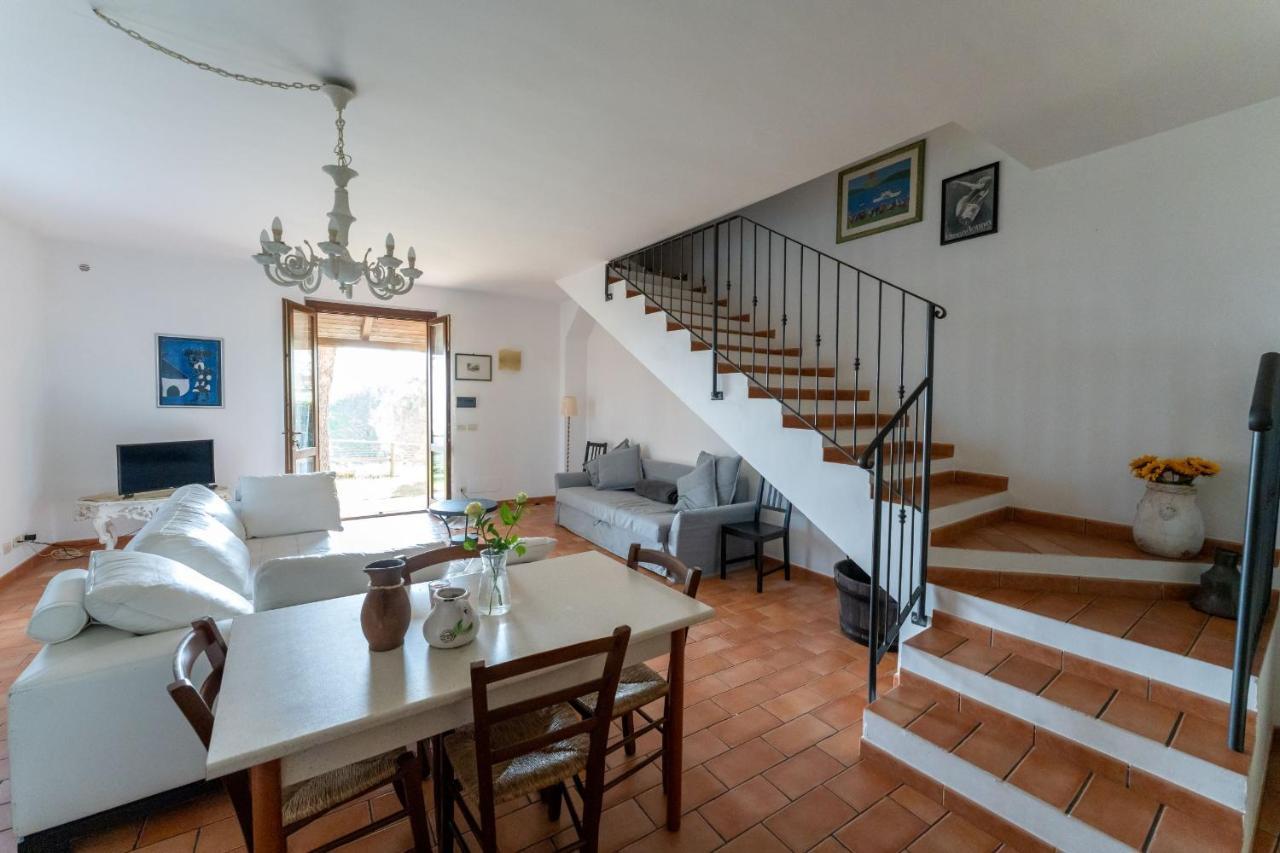 Apartment Il Gelso Nero Ii